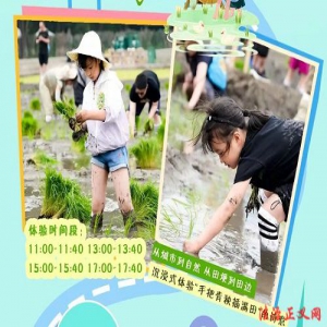 端午邂逅六一   潮趣玩转晋源