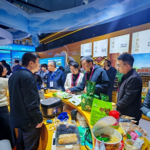 太原特色农产品组团闪耀2025全国粮油和大豆产业博览会